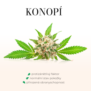 CBD OLEJ 10 % Adaptogen, pozitivně ovlivňuje fyzickou i psychickou rovnováhu těla
