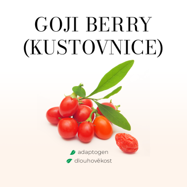 KUSTOVNICE ČÍNSKÁ BYLINNÝ EXTRAKT  (Všelék) - Tobolky 60 ks