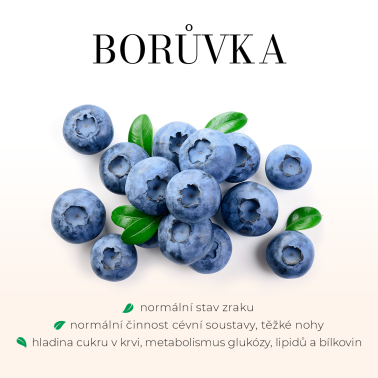 BORŮVKA SIRUP - TŘTINOVÝ Podpora ostrého vidění (Zrak) 250ml