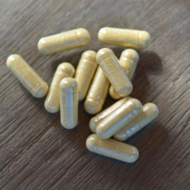 CORDYCEPS BYLINNÝ EXTRAKT Tobolky 60 ks