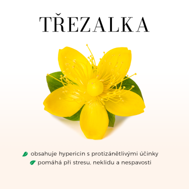Třezalka tinktura 100ml - Při stresu, vyčerpání, poruchách spánku, při úzkostech, podporuje činnost jater a žlučníku