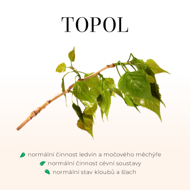 TOPOL ČERNÝ50 ml - POUŽÍVÁ SE PŘI KLOUBNÍM REVMATISMU, S HOŘČÍKEM JE VHODNÝ PŘI SVALOVÝCH KŘEČÍCH, NA BORELIÓZU