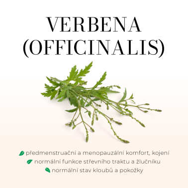 MIGREEN - 90 tobolek - Při pravidelném používání se snižuje četnost a tlak třeštění hlavy