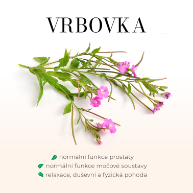 VRBOVKA - BEZLIHOVÁ TINKTURA 100ml