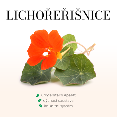 Lichořeřišnice - bezlihová tinktura 100ml