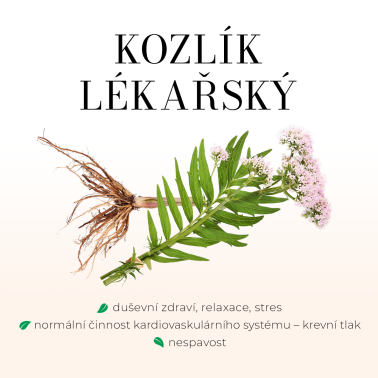 PSYCHICKÁ NEPOHODA - Bezlihová tinktura - Bylinný komplex pro duševní pohodu