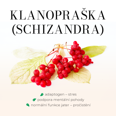 DETOXGREEN 90 tobolek - Detoxikace, játra, žlučník, trávení, cholesterol a vitalita
