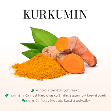 DETOXGREEN 90 tobolek - Detoxikace, játra, žlučník, trávení, cholesterol a vitalita
