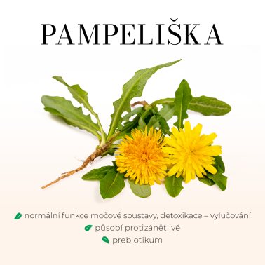 DETOXGREEN 90 tobolek - Detoxikace, játra, žlučník, trávení, cholesterol a vitalita