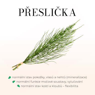 DETOXGREEN 90 tobolek - Detoxikace, játra, žlučník, trávení, cholesterol a vitalita