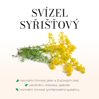 DETOXGREEN 90 tobolek - Detoxikace, játra, žlučník, trávení, cholesterol a vitalita