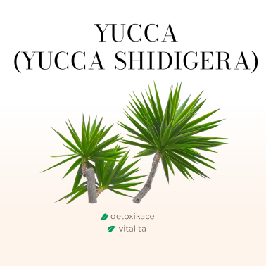 DETOXGREEN 90 tobolek - Detoxikace, játra, žlučník, trávení, cholesterol a vitalita