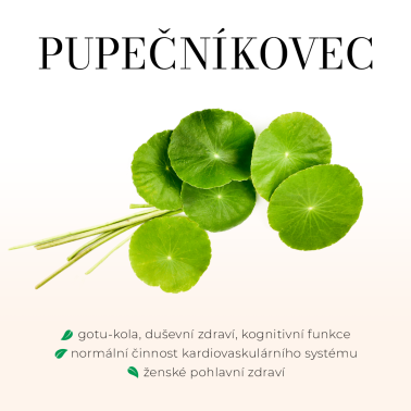 LYMFOGREEN 90 tobolek - lymfatický systém, těžké nohy, vylučování vody z organismu ...,