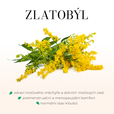 LYMFOGREEN 90 tobolek - lymfatický systém, těžké nohy, vylučování vody z organismu ...,
