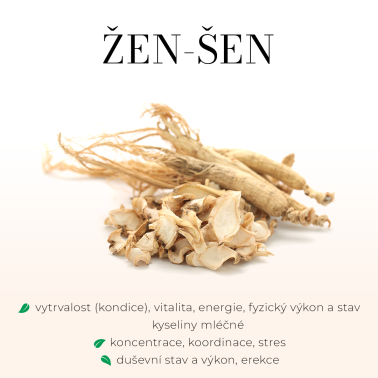 Ženšen Bezlihová 100ml - obranyschopnost, tlumí proces stárnutí, chrání před stresem, podporuje vitalitu,sexuální apetit