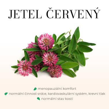 Femigreen - tobolky Menopauza