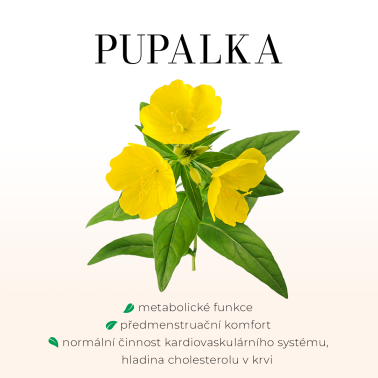 Femigreen - tobolky Menopauza