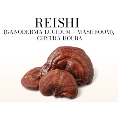 Reishi mast 50ml - Neparfemováno