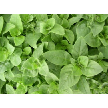 Mýdlo - Rajče a oregano 80 g