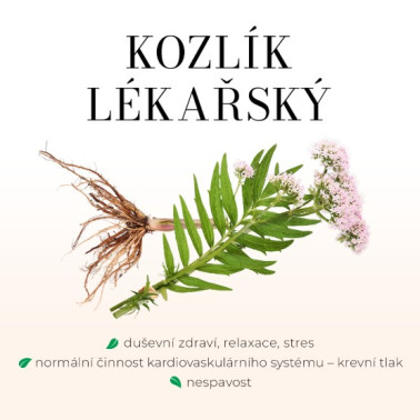 Směs pro lepší spánek - kapky 100 ml