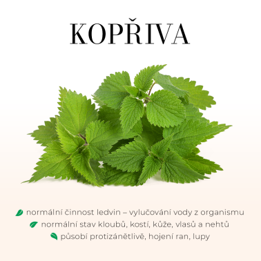 Šampon levandule 200ml