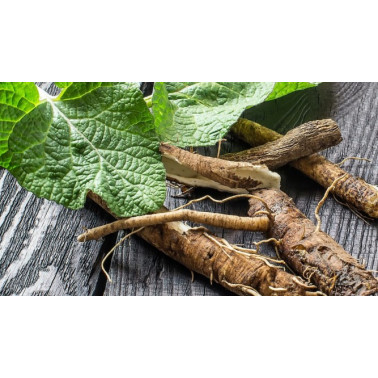 Šampon levandule 200ml