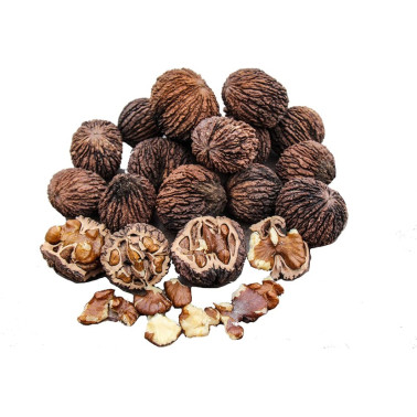 ČERNÝ OŘECH (BLACK WALNUT) Tinktura bez alkoholu 100ml